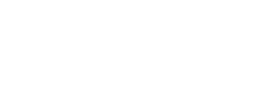 Bassic Agency